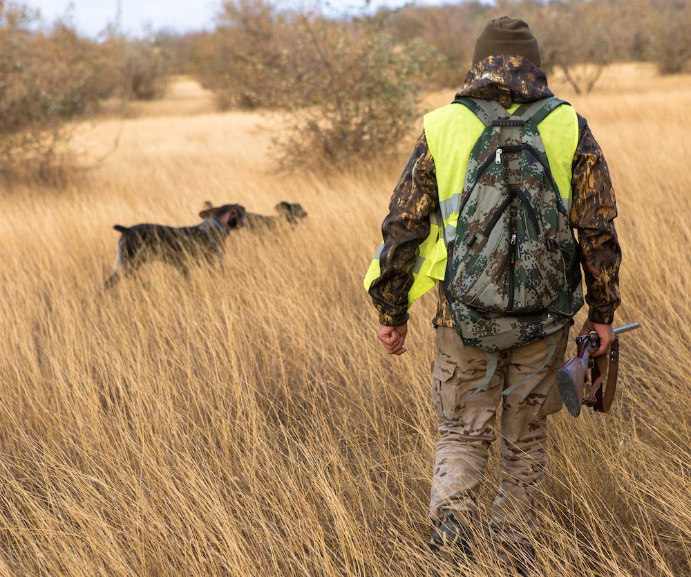 Extraordinary Ordinary Days